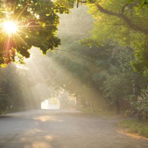 Vue aérienne d’un terrain constructible idéal pour bâtir une maison en 2025.