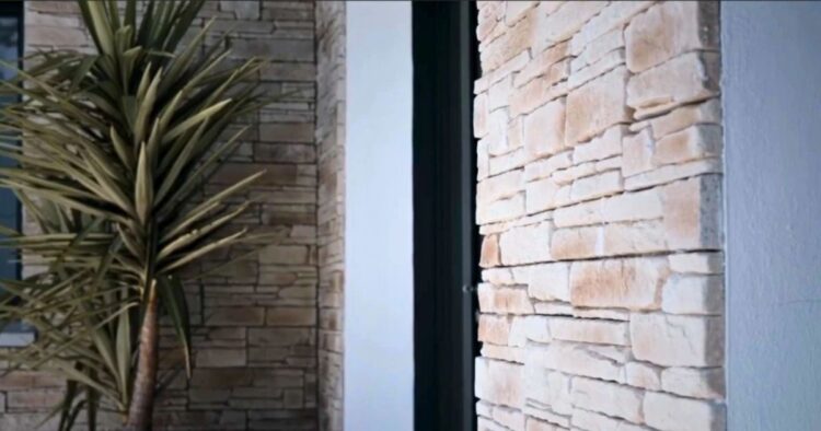 Photographie de la vue du mur de la villa à Anglet